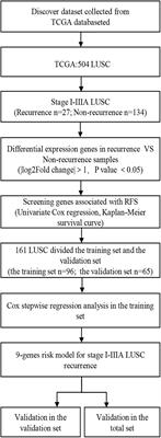 A Combined RNA Signature Predicts Recurrence Risk of Stage I-IIIA Lung Squamous Cell Carcinoma